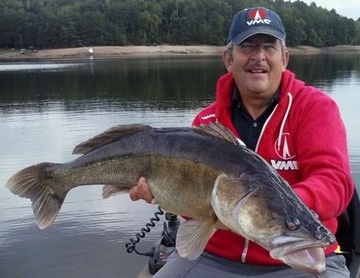 5 КРЮЧКОВ № 1/0 ZANDER VMC 9902 BZ DOUBLE RYDER