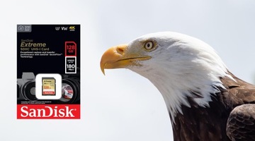Карта памяти SANDISK Extreme SDXC 128 ГБ