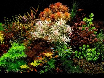 QualDrop MICRO PLANT 500мл - микроэлементы