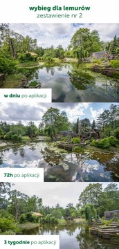 РЕМЕДИАНТ 5 КГ ЧИСТАЯ И ЗДОРОВАЯ ВОДА ДЛЯ ПРУДА