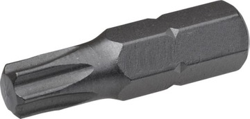 KOŃCÓWKA DO WKRĘTARKI BIT TORx T25x25 1 SZT