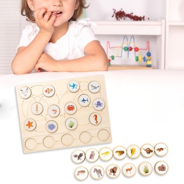 Montessori Toys Life Cycle Tray Flash Cards Growth Stage Educational Sqaure