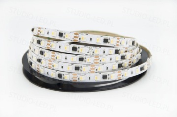 Цифровая лента 1м 60D RGB+нейтральный RGBW TM1814 12В