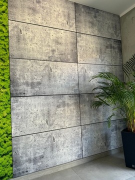 Декоративная стеновая панель Мох Мох 100х50 см архитектурный бетон