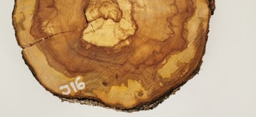 Ломтик яблока 36x37см, дерево для стола из смолы