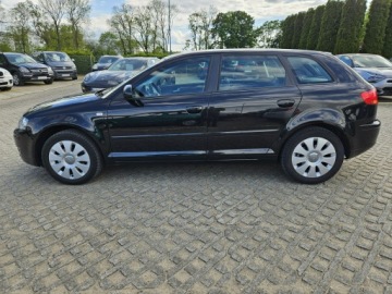 Audi A3 8P Hatchback 3d 1.6 102KM 2007 Audi A3 1,6 MPI Benzyna 102KM, zdjęcie 16