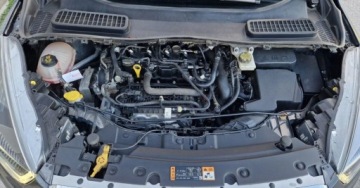 Ford Escape III 2019 Ford Escape 1.5 EcoBoost 180KM Automat Led DRL 1.5 Benzyna 182KM, zdjęcie 5