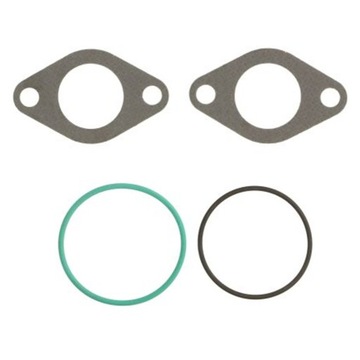 ELRING ZESTAW USZCZELEK ZAWORU EGR DO VW PASSAT B6 GOLF V 1.9 2.0 TDI