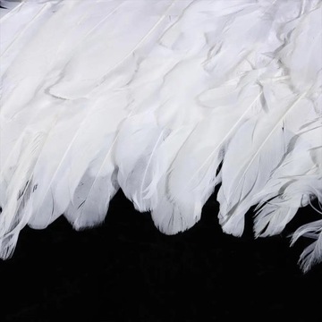 КОСТЮМ АНГЕЛА РОДНЫЕ КРЫЛЬЯ АНГЕЛА + ореол + ЮБКА АНГЕЛА 134-140