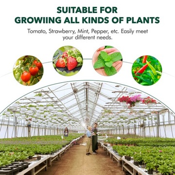 Торфяные горшочки для контейнера для рассадного комплекта для рассады