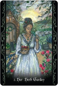 Одинокий ведьма-оракул