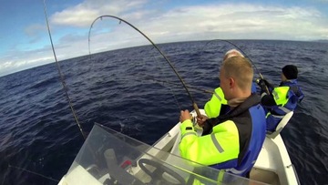 D - БИРКА ДЛЯ МОРСКОЙ СЕЛЬДИ 1 шт. JAXON AJ-M10