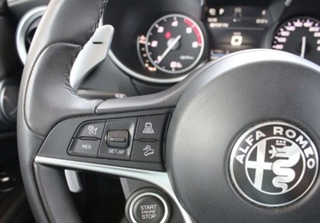 Alfa Romeo Stelvio 2019 Alfa Romeo Stelvio 2.2 JTDM Fv23 Od RiA SalonPL FVat Bogata Wersja 4x4 2.1, zdjęcie 13
