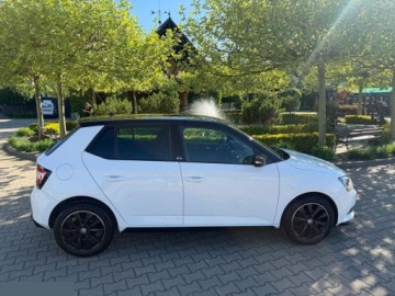 Skoda Fabia III 2019 Skoda Fabia 1.4 TDI Clever 90KM 2019r, zdjęcie 8