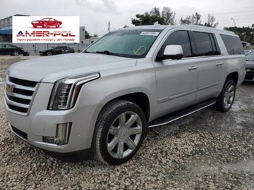 Cadillac Escalade III 2020 Cadillac Escalade esv luxury, 2020r., 4x4, 6.2L