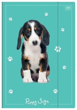TECZKA Z GUMKĄ A4+ LUX PUPPY SIGN INTERDRUK