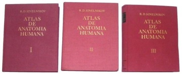 Atlas anatomii człowieka tom 1-3 Sinelnikow