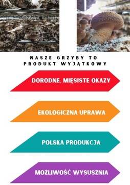 Отвердитель для тюков мицелия шиитаке польский 22кг 12 шт.