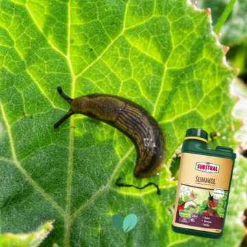 Средство от улиток Слимакол Substral Naturen 5907487102843