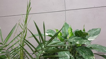 Гибкий архитектурный бетон В15 - арт