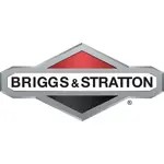 Карбюратор Briggs & Stratton 796227