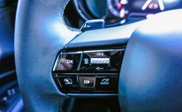 Alfa Romeo Junior 2025 Alfa Romeo Junior Alfa Romeo Junior 1.2 Hybryda 145KM, zdjęcie 9