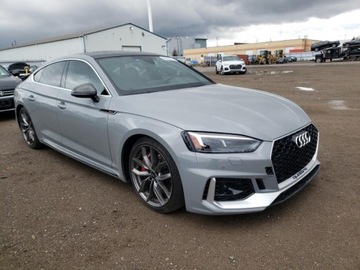 Audi A5 F5 2019 Audi RS5 Coupe 2019 2.9l 2.9 Benzyna 444KM, zdjęcie 4
