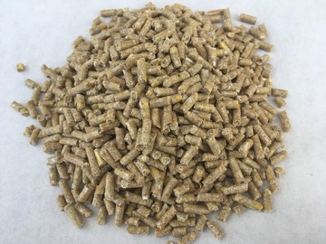 Pasza dla brojlerów brojler od 3 tyg bez gmo 25 kg