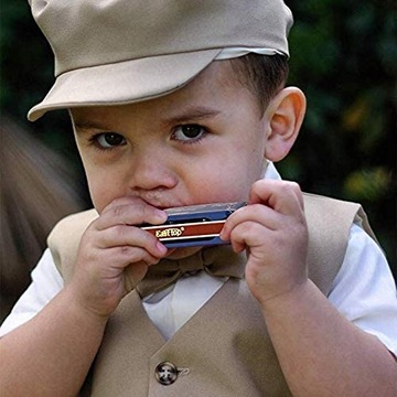 Блюзовая гармошка 008K Paddy Eb Diatonic