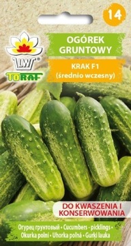 Ogórek gruntowy Krak F1 Średnio-Wczesny Nasiona 5g