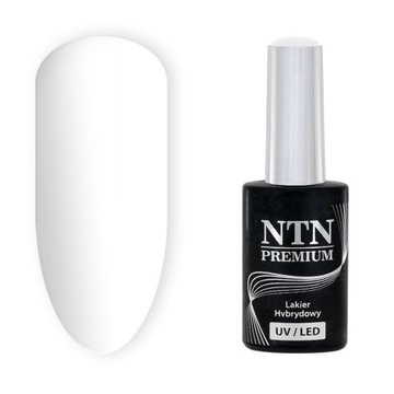 Lakier Hybrydowy NTN Premium Splash 123 5g