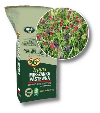 Trawa Granum MP-6 Poplonowa Ozima Pastewna 10 kg