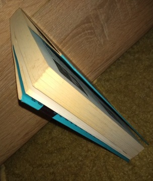 КАК ДРЕССИРОВАТЬ КОШКУ / ДАВИД РАТАЖЧАК / ДБ /