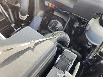 Infiniti 2023 Infiniti QX80 2023 INFINITI QX80 SENSORY AWD 5.6 Benzyna 400KM, zdjęcie 10