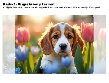 POWIĘKSZENIE ZDJĘCIA 60x60 Odbitka 1:1 ZDJĘCIE DO RAMKI plakat PÓŁMATOWY