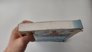 Учебник по информационным технологиям