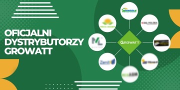 Инвертор OFF-GRID Инвертор Growatt SPF 3500 ES Официальный польский дистрибутив