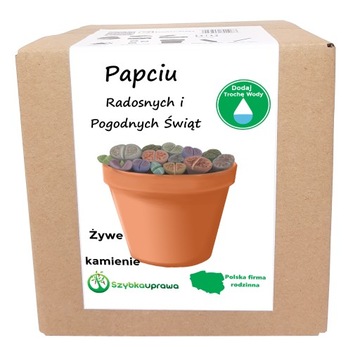 ŚWIĄTECZNY PREZENT DLA PAPCIA KPL ŻYWE KAMIENIE
