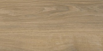 PŁYTKI IDEAL WOOD NATURAL MAT 60X30 PARADYŻ
