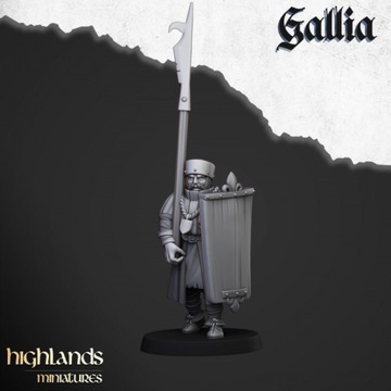 Gallia Men at Arms Highlands Miniaturesx10