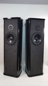 КОЛОННЫ GENESIS 8200F / ЛЕНТА / BI-WIRE