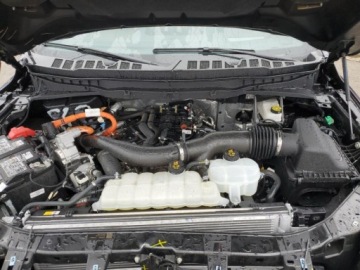 Ford 2025 Ford F150 King Ranch 2025 3.5l 3.5 Hybryda 400KM, zdjęcie 6