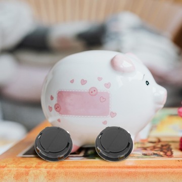 КРЫШКА ДЛЯ СБЕРЕНОК 20 ШТ.