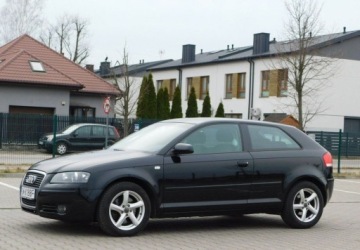 Audi A3 8P Hatchback 3d 2.0 TDI PD 170KM 2007 Audi A3 3-drzwiowe 2.0TDi Quattro Podgrzewane Fotele 2.0 Diesel 170KM, zdjęcie 1