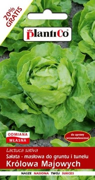 Ящик для гербария Warzywniak ECO 200x100x18 + семена овощей + перчатки