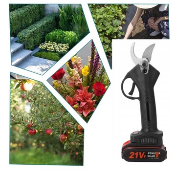 электрический секатор для прачек аккумуляторный с 2 ​​аккумуляторами