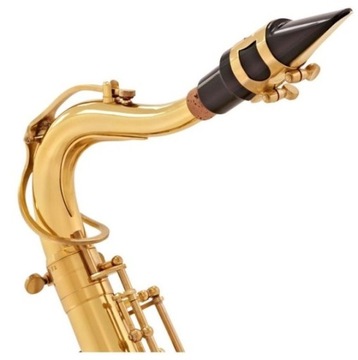 ТЕНОР-САКСОФОН В КОРПУСЕ V-TONE TS 100