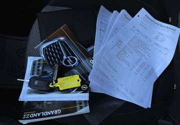 Opel 2019 Opel Grandland X 130 KM manual BEZWYPADKOWY gwarancja ZAREJESTROWANY, zdjęcie 33