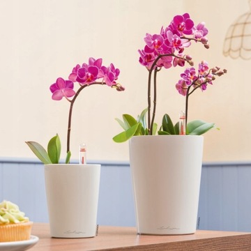 Doniczka LECHUZA MINI DELTINI samonawadniająca BIAŁY POŁYSK