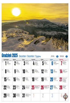 КАЛЕНДАРЬ 2025 А3 СТЕНА 13 ДОСОК ПОЛЬСКИЙ КЛИМАТ ВИДЫ ПОЛЬСКАЯ ПРИРОДА